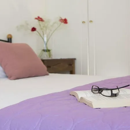 Architect House Willa